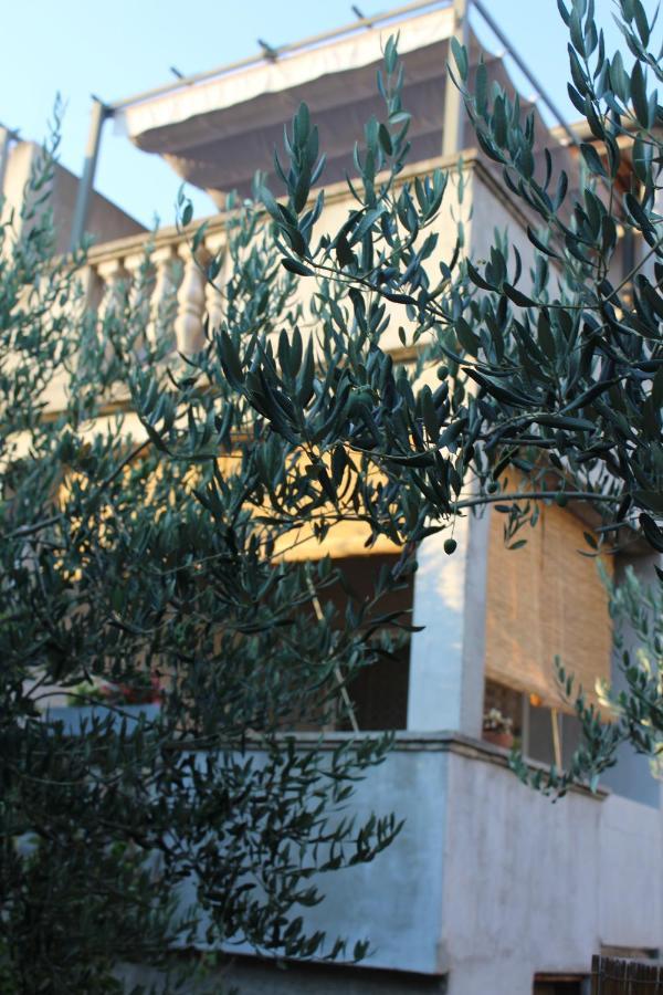 Apartments & Rooms Tea ซาดาร์ ภายนอก รูปภาพ